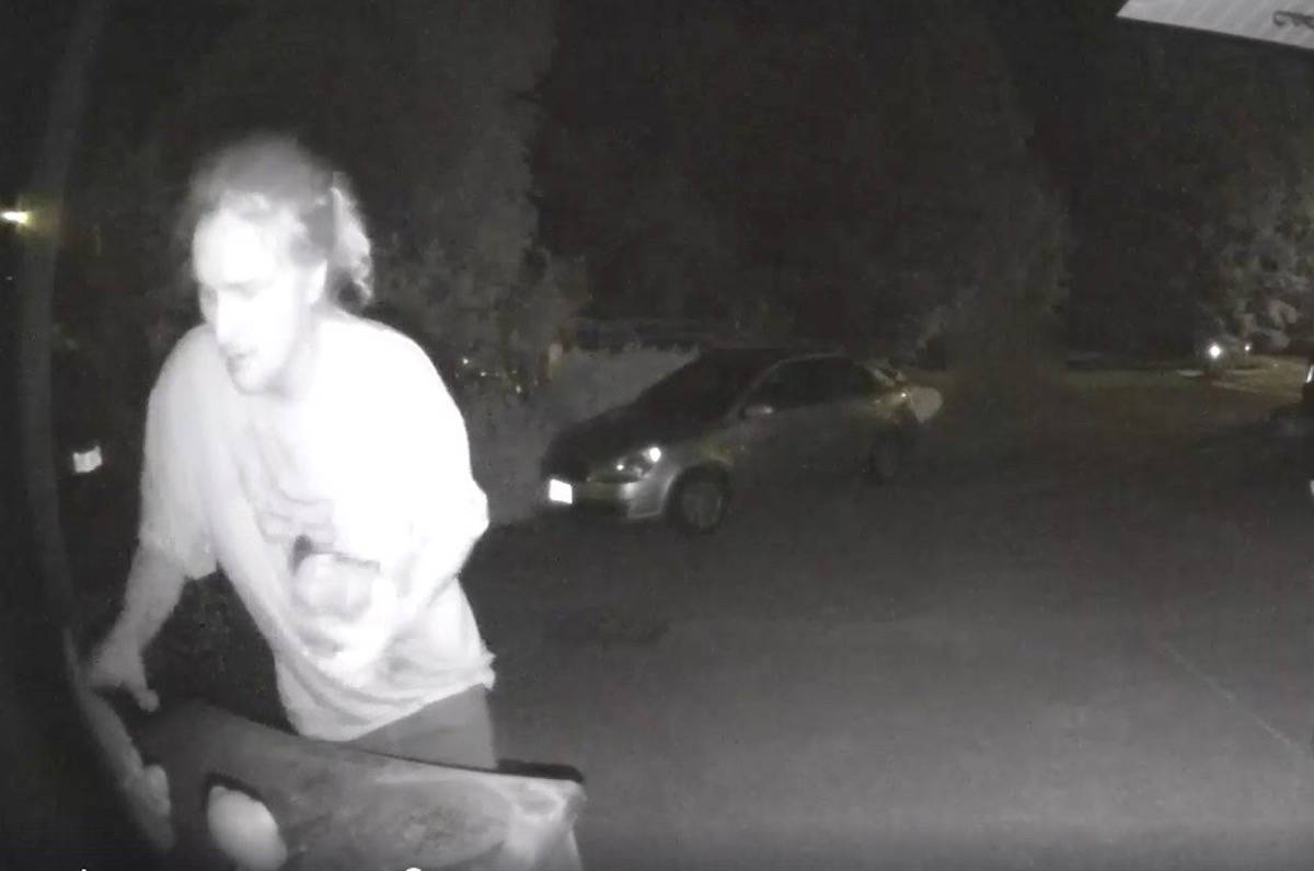 Two gnomes and a turtle were stolen from a Langford woman’s property in the 900-block of Walfred Road in the early morning hours of Thursday, July 16. (Courtesy of Heather Boggs)