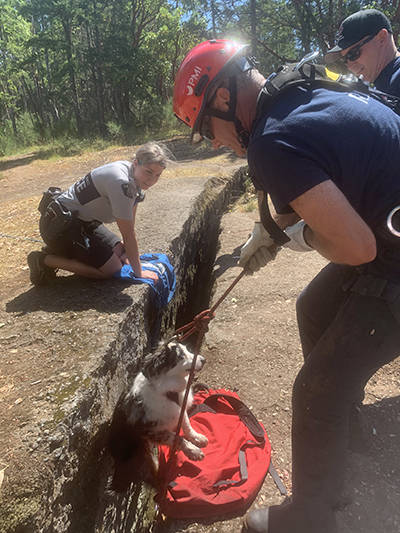 RCMP Const. Cydney MacNeill watches as Nanaimo Fire Rescue firefighter John Fournier pulls a dog from the Abyss on Tuesday afternoon. (Nanaimo Fire Rescue photo)