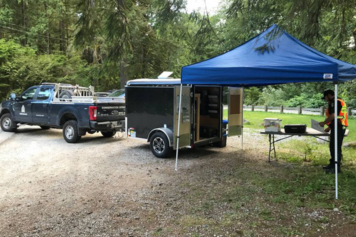 Girl, 10, bitten on leg by bear on Lower Mainland trail