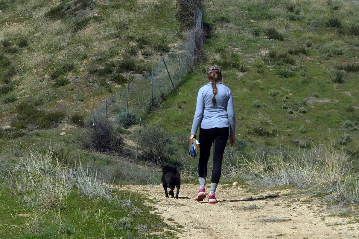 A new UBC study shows that Canadians are not getting enough light physical activity (needpix.com)