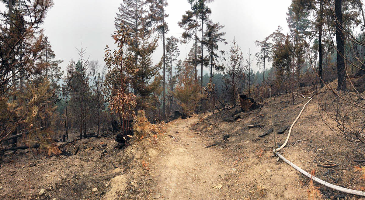Maple Mountain is always a potential hot spot for fires, especially with so many people out on the trails hiking or on bikes that makes the situation even more volatile. (Photo submitted)