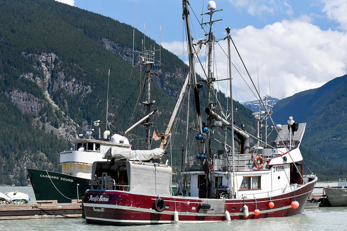 Fishing vessels near Bella Coola await the start of the season. Angie Mindus file photo