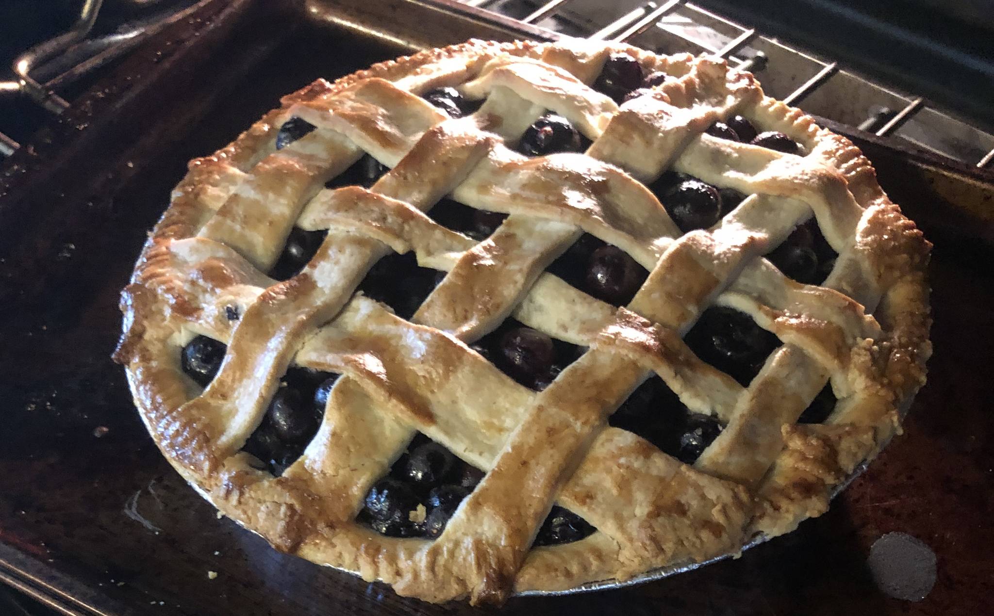 My son was adamant the top of the pie look like this. It’s not pretty, but I tried. Also, I took the pie out of the oven to send my mom a photo before it was done baking. Surely I can’t be the only daughter to send pictures like this to their mom? (Sarah Sipson/Citizen)