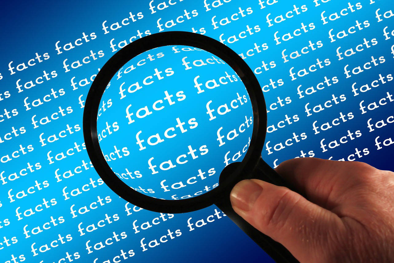Which word about truth was coined by Stephen Colbert? (Photo by Richard Shotwell/Invision/AP)                                (Image by Gerd Altmann from Pixabay)