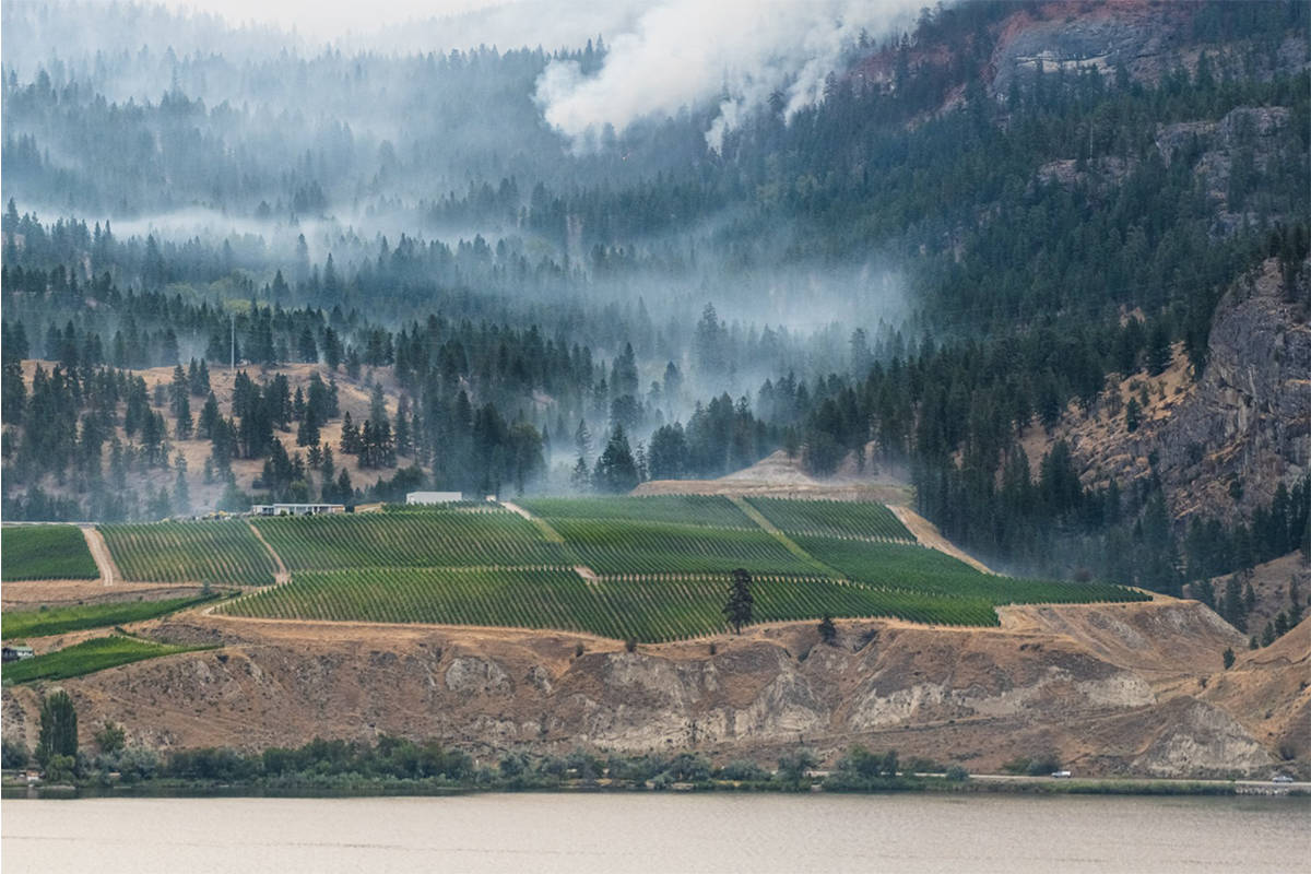 Smoke can be seen near the Painted Rock Estate Winery. (Douglas Drouin Photography)