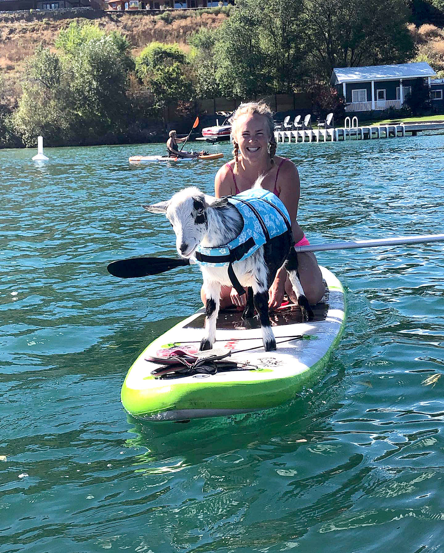 Shanda Hill takes her goat for a paddle on Kalamalka Lake Monday, Aug. 24. (Keith Sheffield photo)