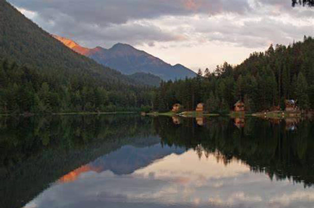 According to officials, a 10-year-old boy was walking with two women and three other children, ranging from 10 to 13 years old, at a remote family cabin near Marshall Lake in Lillooet, B.C., on Monday afternoon, Aug. 31, 2020, when the run-in with the big cat occurred. (B.C. Conservation Officer Service handout)