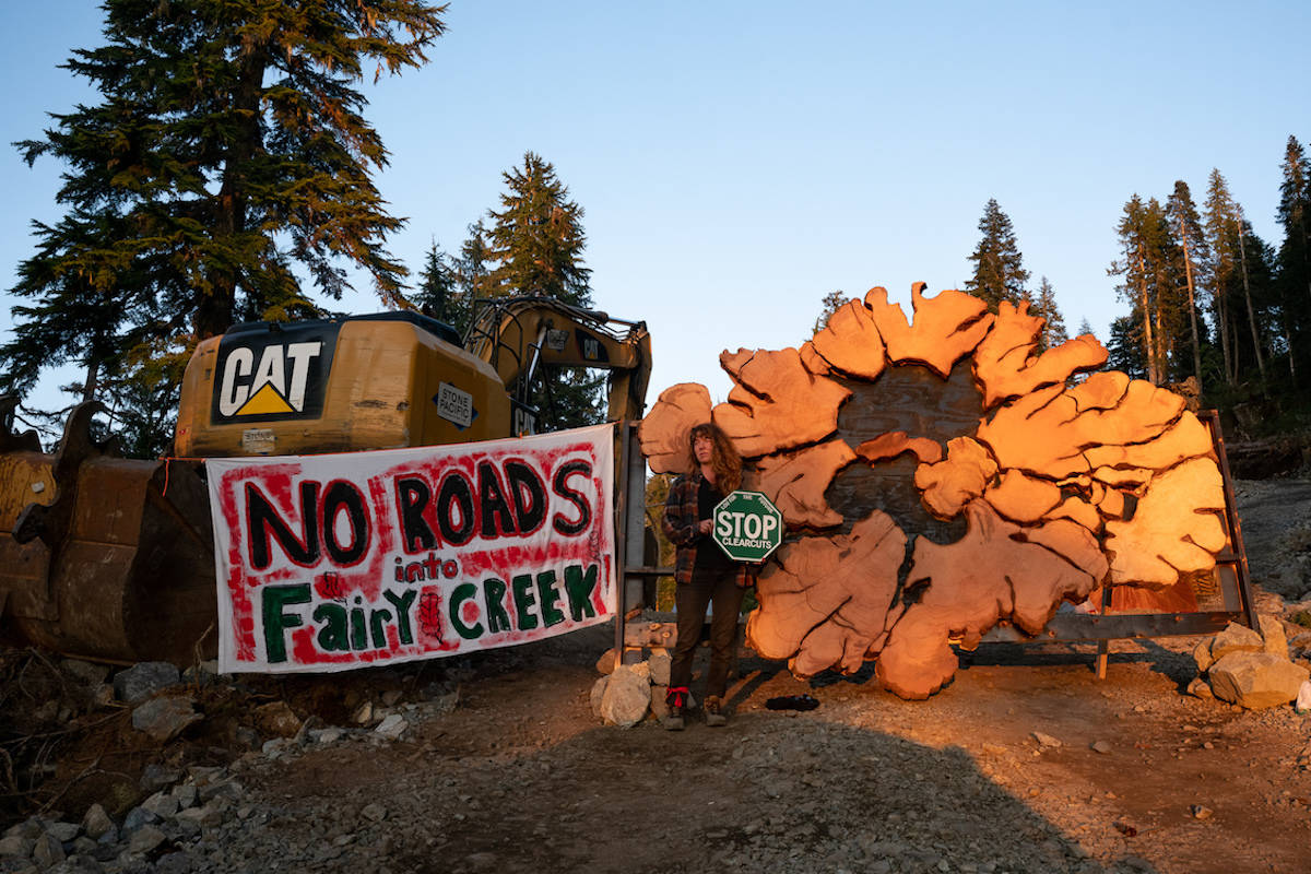Nearing a month of blockades, Fairy Creek protestors are determined to stop logging company Teal Jones Group from clear-cutting old-growth trees by building road access into the Fairy Creek watershed near Port Renfrew. (Will O’Connell photo)