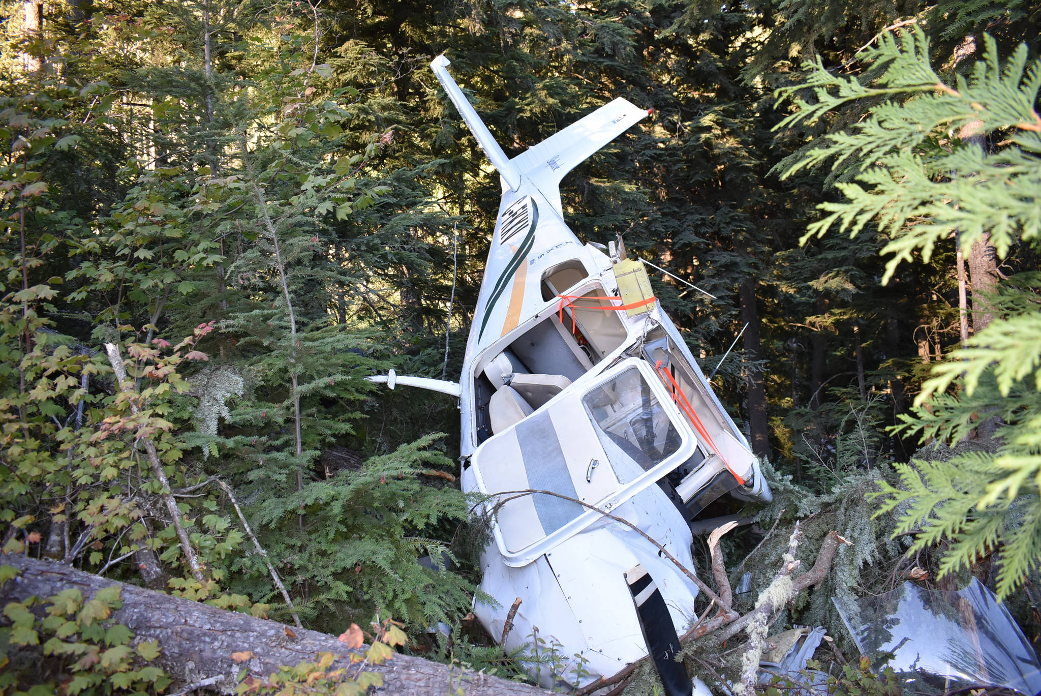 The single-engine Cessna crashed with one person onboard Saturday, Sept. 5 near a forest service road between Hope and Sunshine Valley. (Emelie Peacock/Hope Standard)