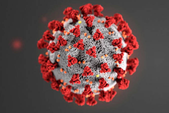 It’s unknown who exactly from the school contracted the virus. Photo: CDC