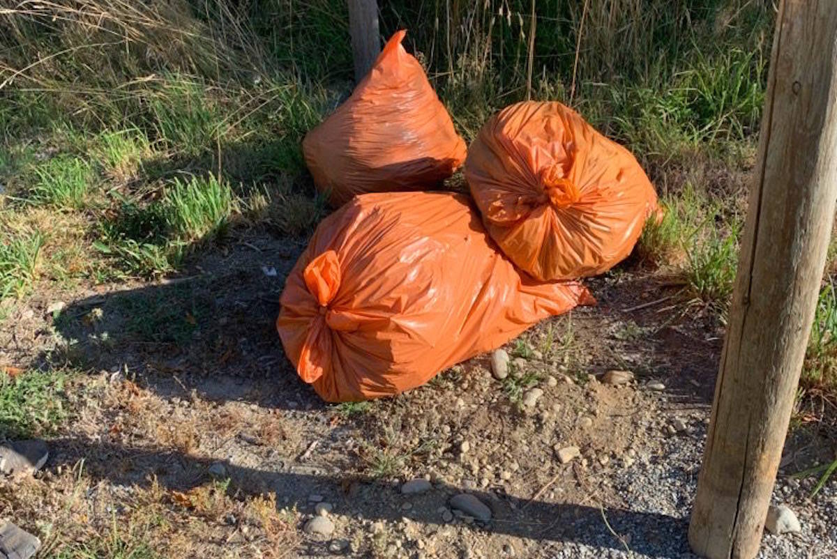 A Sooke woman is fed up with seeing trash dumped in her neighbourhood after she spotted three garbage bags on the edge of her property in mid-August. (Linda Lucas photo)