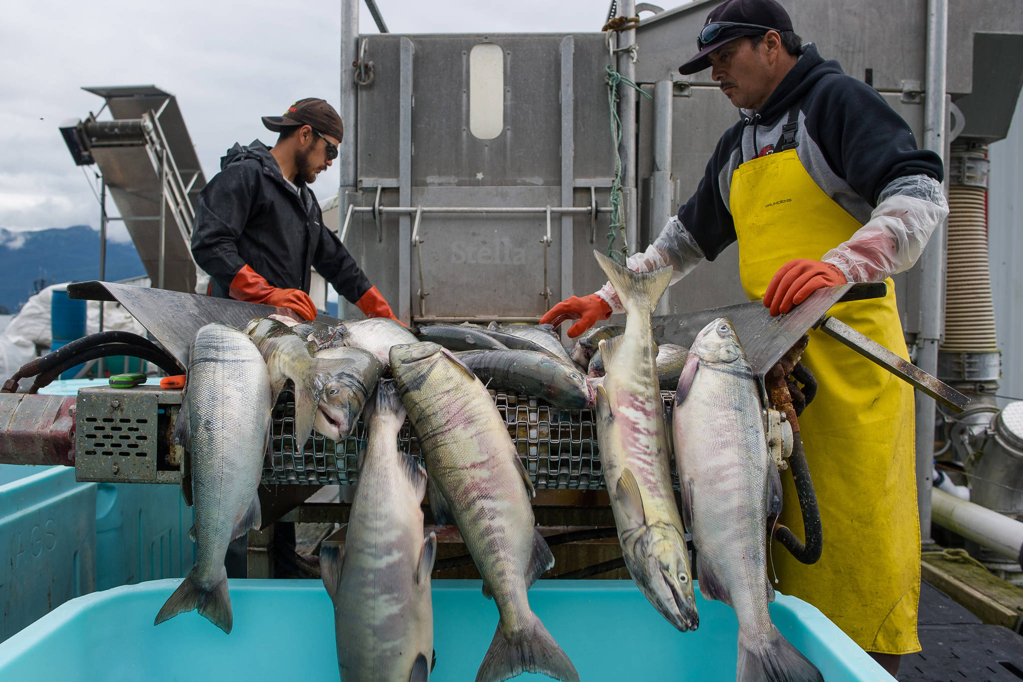 B.C. food and beverage producers set record sales in 2019
