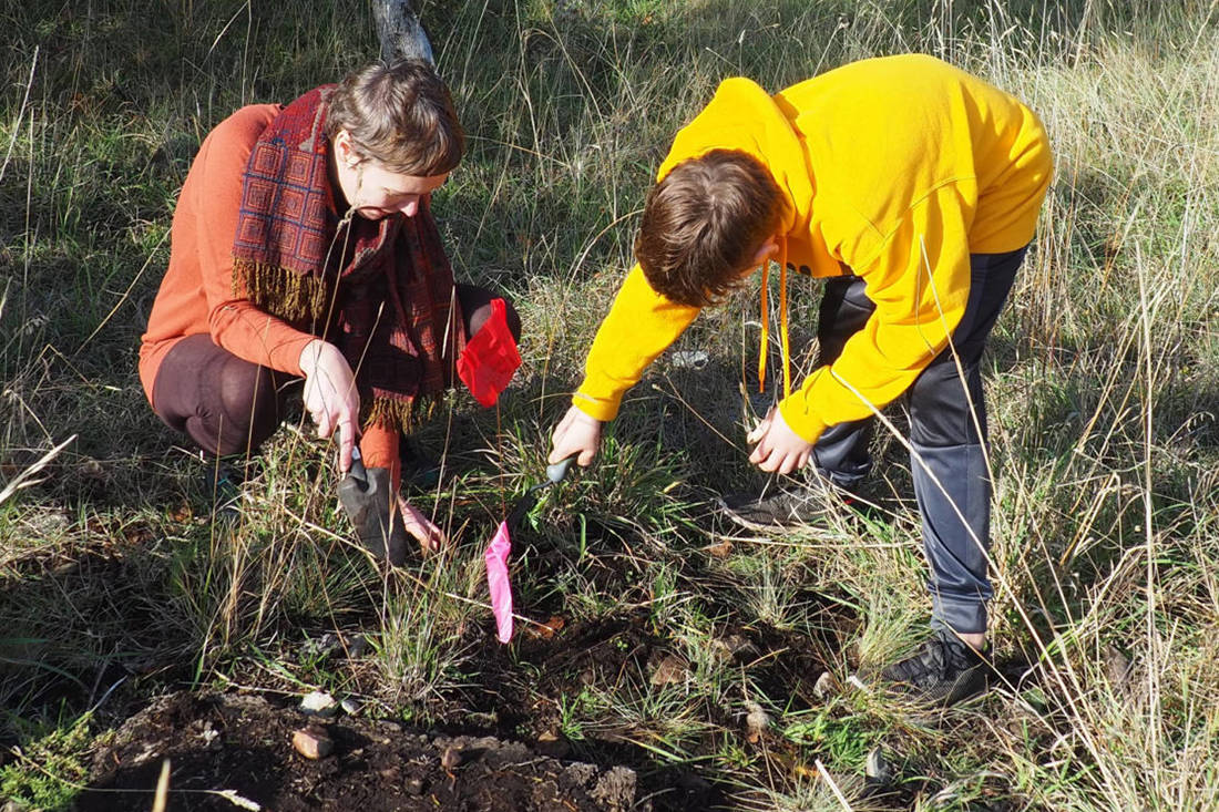 Staff and students try to improve the coastal bluff habitat on Hornby Island for creatures such as birds, bees, and butterflies including the rare Taylor’s checkerspot butterfly. (Photo submitted)