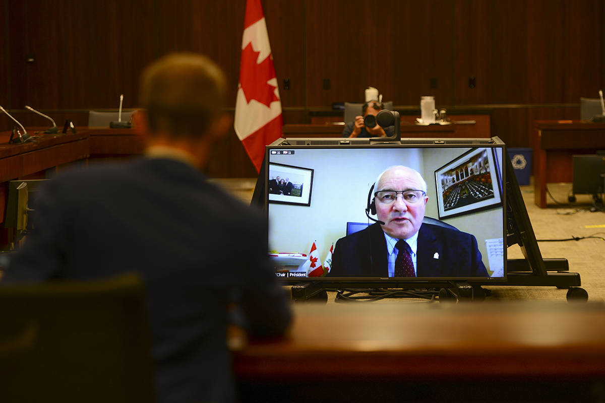 Committee Chair and Liberal MP Wayne Easter speaks via videoconference during a House of Commons finance committee in the Wellington Building on Thursday, July 30, 2020. The committee is looking into Government Spending, WE Charity and the Canada Student Service Grant. THE CANADIAN PRESS/Sean Kilpatrick