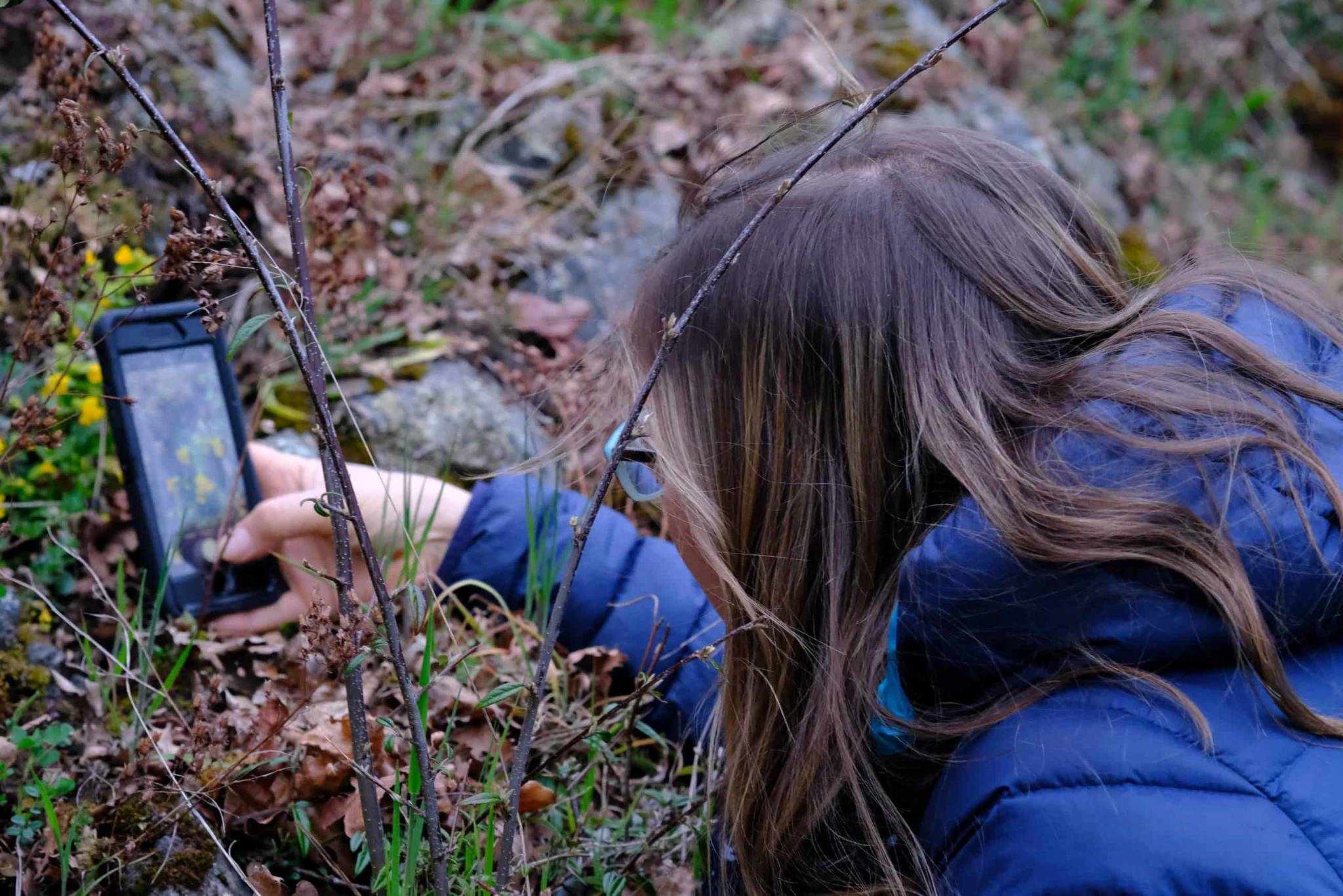 To join the Big Nature Challenge, all participants have to do is take photos of plants, animals, fungi, insects, tracks, animal feces, or other species and signs of wildlife, and upload those images to iNaturalist, eBird or WhaleReport, either through a smart phone app or desktop platform. (B.C. Big Nature Challenge screenshot via BC Parks Foundation)