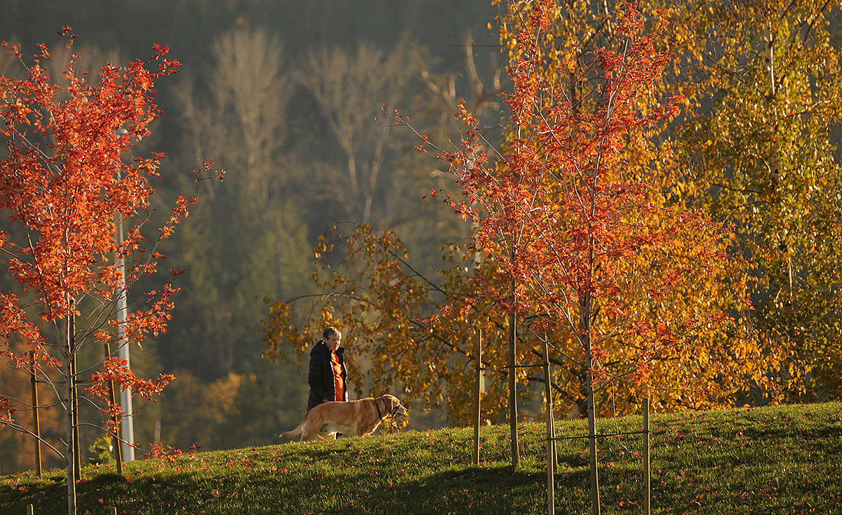 DANSEREAU: There is something about fall
