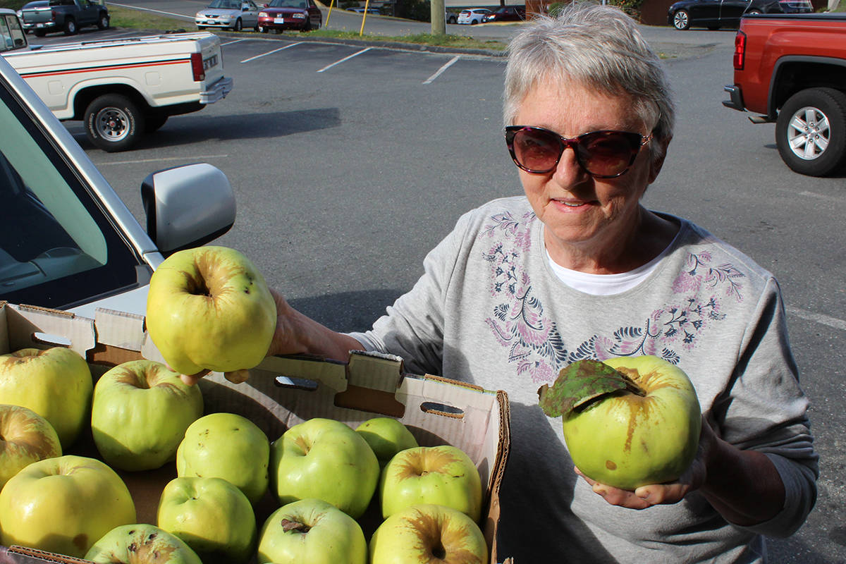 Nanaimo’s Rose McCulley brings a sampling of gloria mundi apples to the farmers’ market, where she was selling her canned fruit and secret-recipe apple pie filling. (Greg Sakaki/News Bulletin)