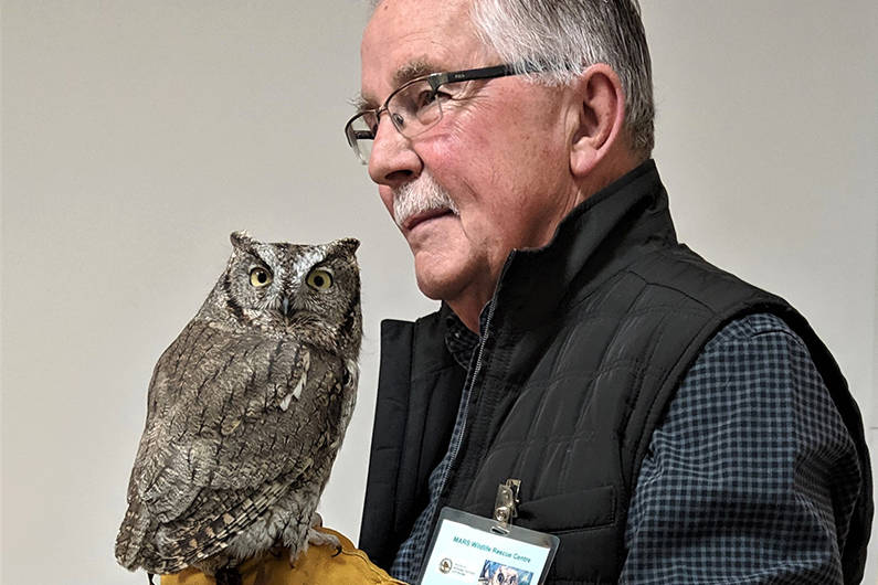 MARS volunteer John shows ambassador owl Otis to visitors. Photo supplied