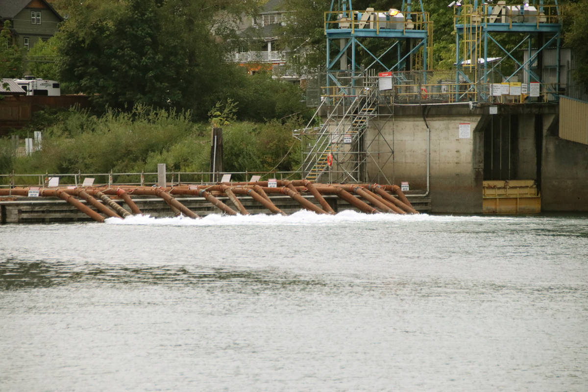 Pumping over the weir in Cowichan Lake has been required when summer droughts threatened to run the Cowichan River dry. (Lexi Bainas/Gazette)