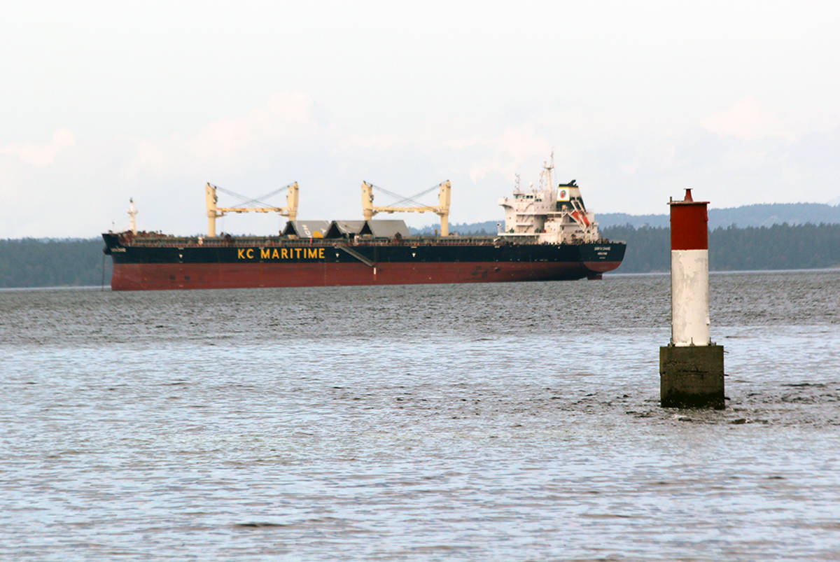 Freighter anchored off Kin Beach in Chemainus. (Photo by Don Bodger)