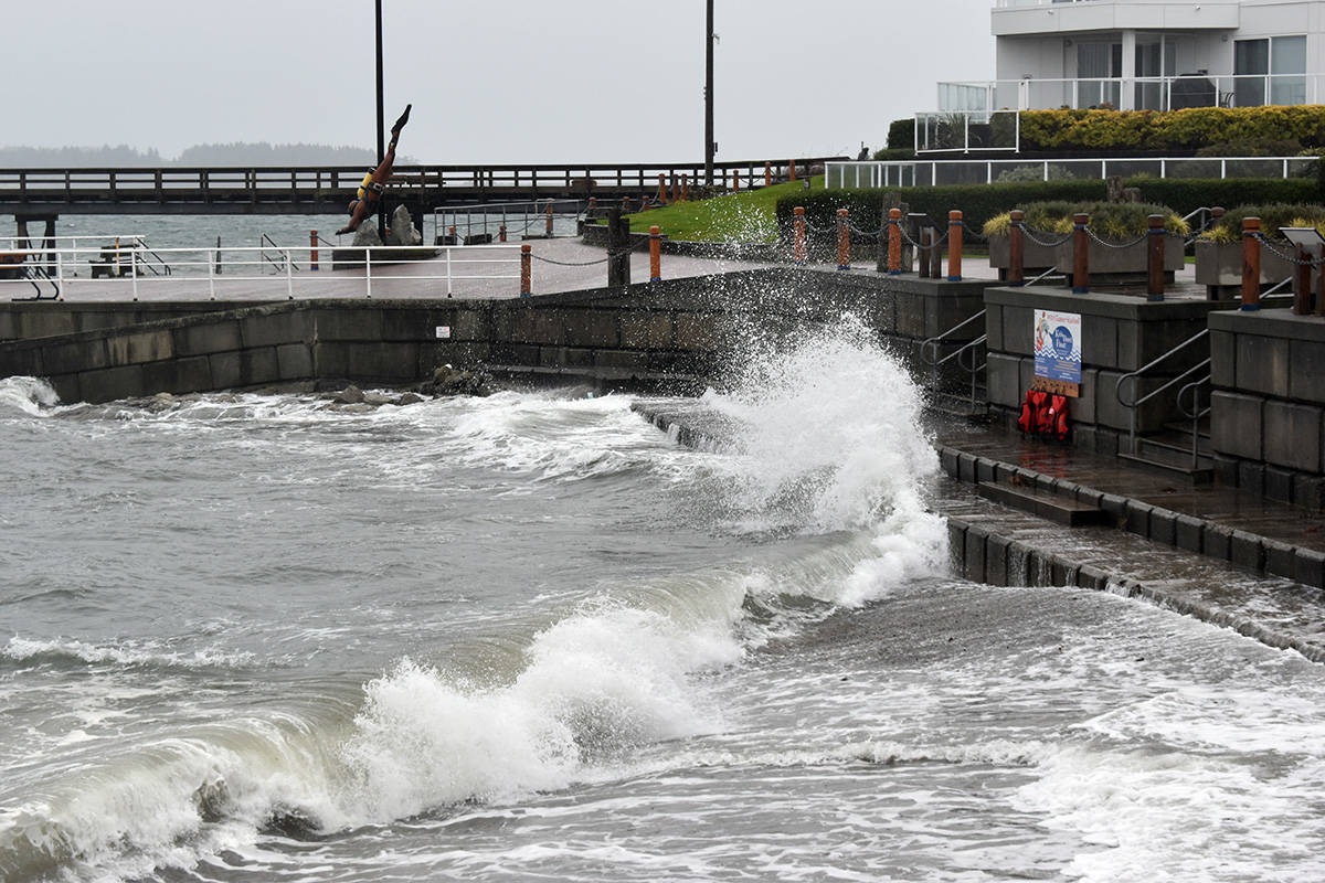 A wind warning is in effect for Greater Victoria Monday morning. (Black Press Media file photo)