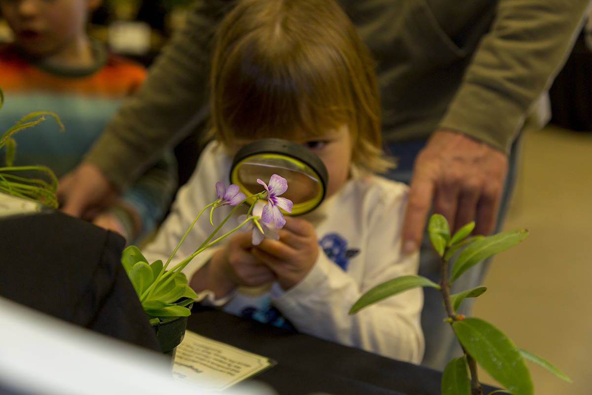The Walking Curriculum gets students outside and connecting with nature. (Amanda Peterson/Special to S.F. Examiner)