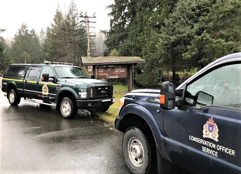 B.C.’s Conservation Officer Service stopped an angler who had caught a Wild Steelhead salmon in the Quinsam River in 2019. The angler was fined $1,501 in Campbell River court. Photo Facebook/BCCOS