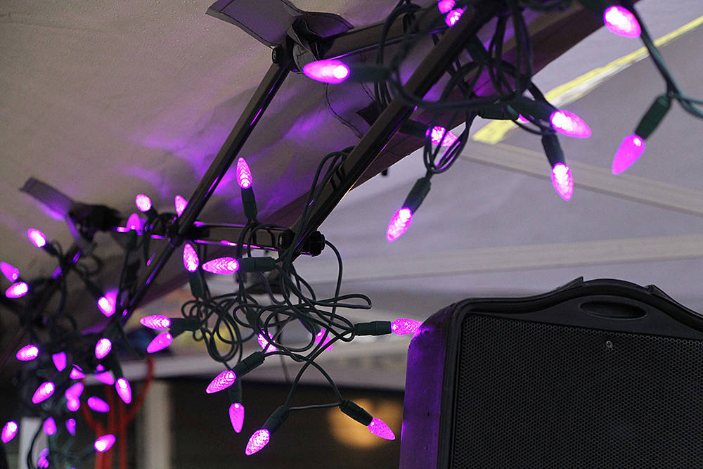 Strings of purple lights mark the 16 Days of Activism Against Gender-Based Violence. (Abbotsford News file photo)