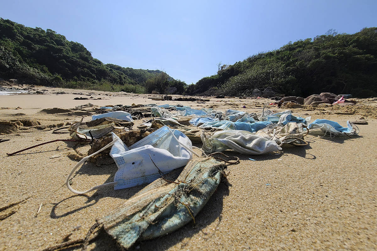 Between 4,680 and 6,240 metric tonnes of face masks will pollute the world’s oceans this year, according to a new report from Oceans Asia. (Gary Stokes/OceansAsia)