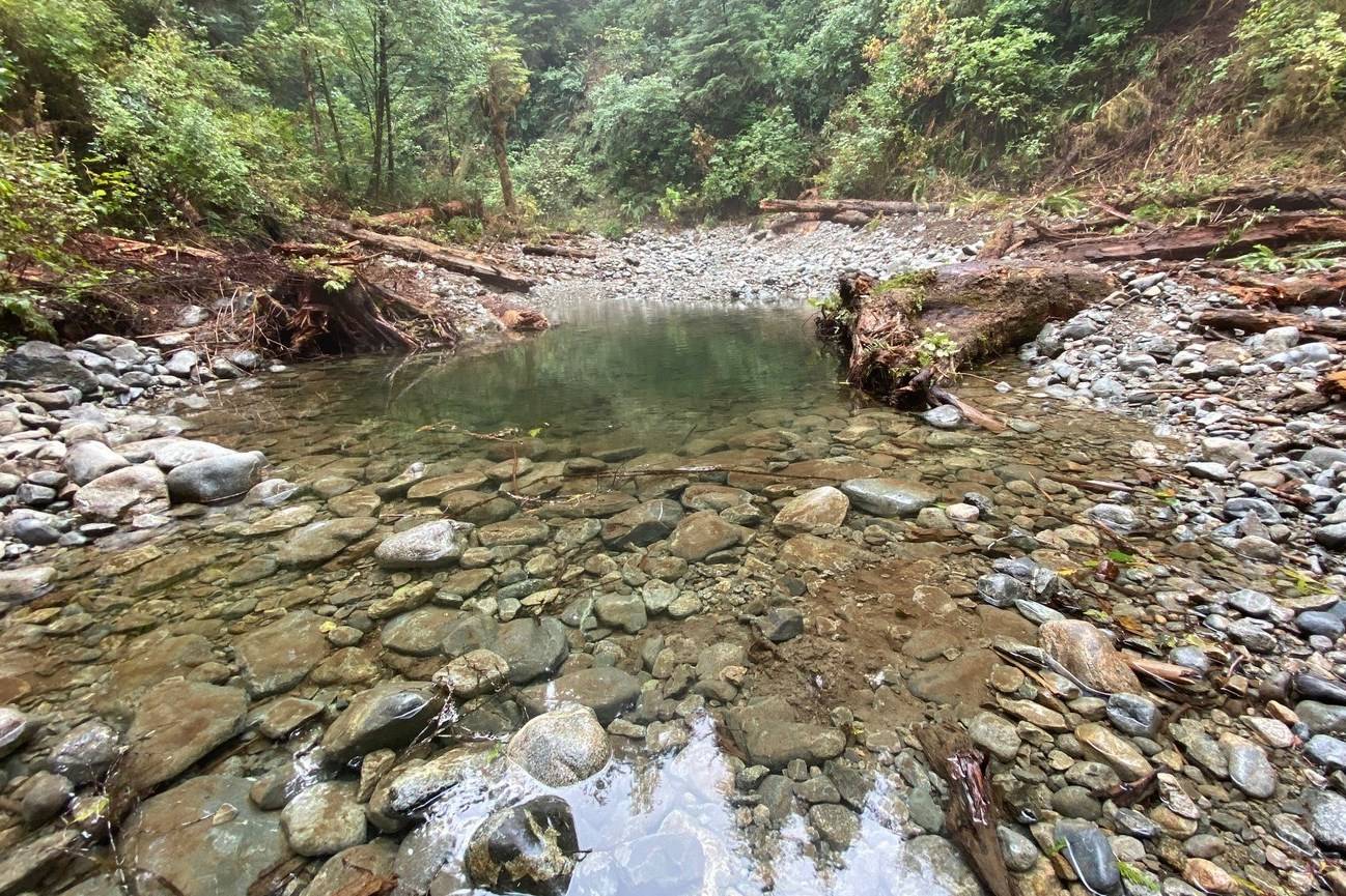 A salmon stream is restored to its natural course by Parks Canada and the Ditidaht First Nation in the Cheewaht watershed in Pacific Rim National Park Reserve. (Photo supplied by Parks Canada)