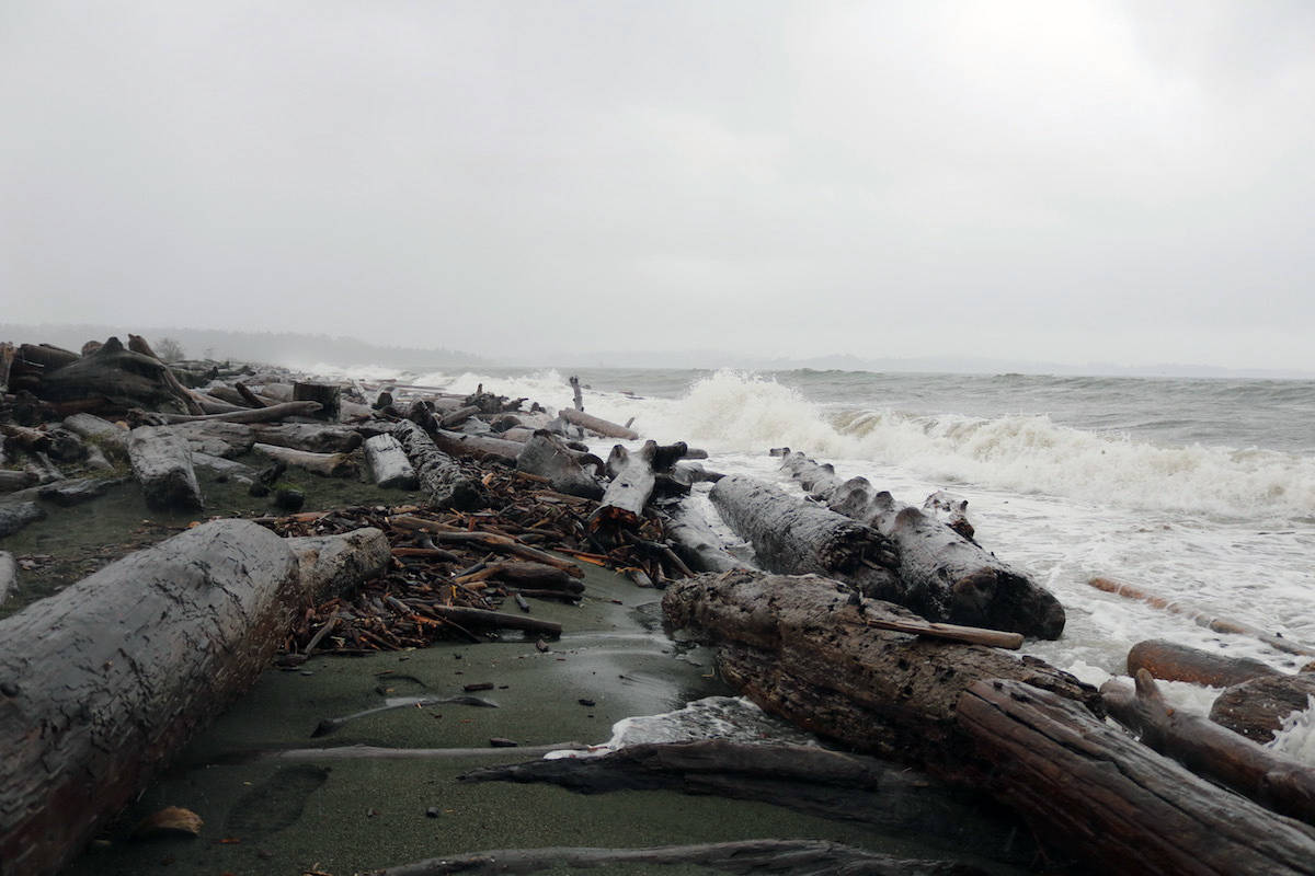 Windy weather is expected to hit B.C.’s south coast Friday morning. (Black Press Media file photo)