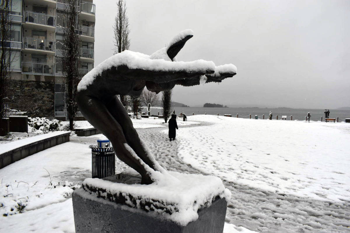A lone figure trudges through the snow Monday afternoon in Sidney’s Beacon Park. (Black Press Media file photo )