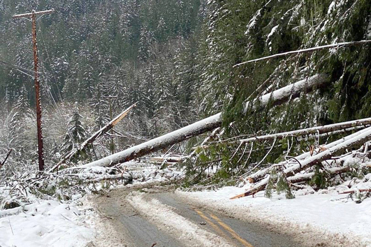 (RCMP photo)