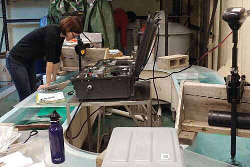 University of Guelph adjunct faculty member Dr. Sarah Alderman studies salmon in a swim flume to test the ability of the fish. (Photo submitted by University of Guelph)