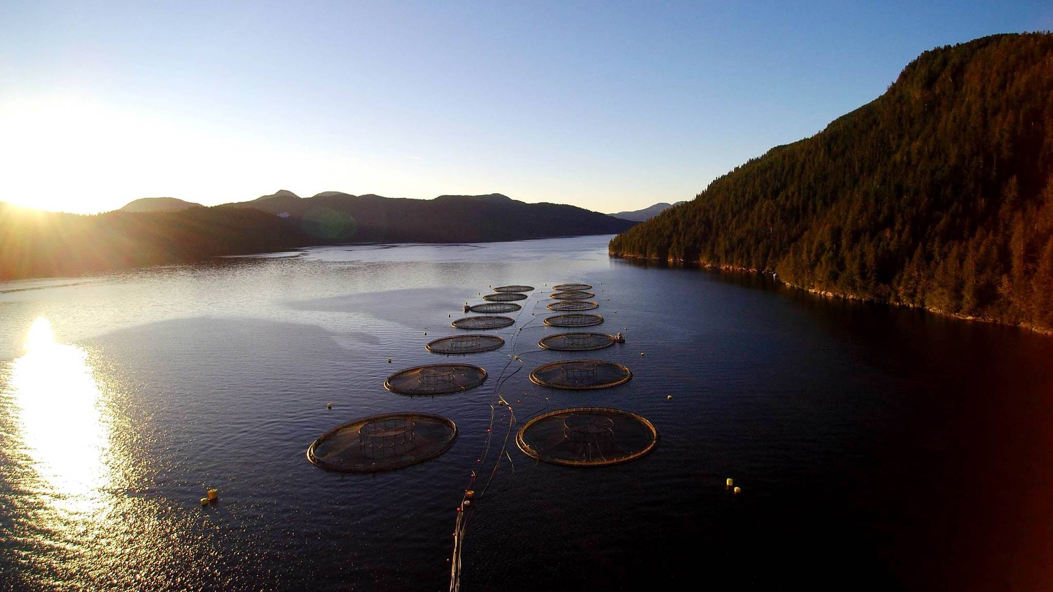 Mowi Canada West’s Sheep Pass salmon farm, the company’s final B.C. operation to receive certification from the Aquaculture Steward Council. The Canadian Federation of Agriculture (CFA) is questioning a government decision to phase out salmon farms in the Discovery Islands. (Photo supplied by Mowi Canada West)