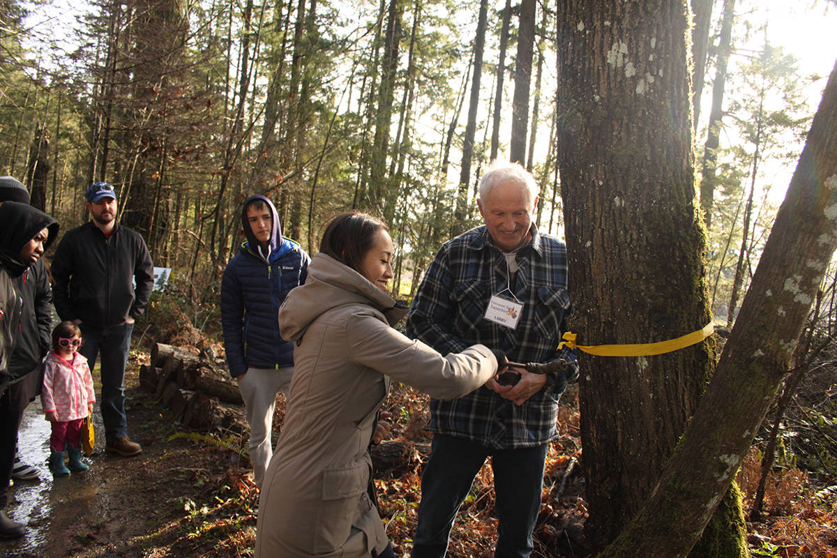 Larry Fiege, right, from Fiege’s Farm shows a rapt audience the old-fashioned way to tap a Bigleaf Maple during the Maple Syrup Festival at the BC Forest Discovery Centre Feb. 1 and 2, 2020. (Andrea Rondeau/Citizen)