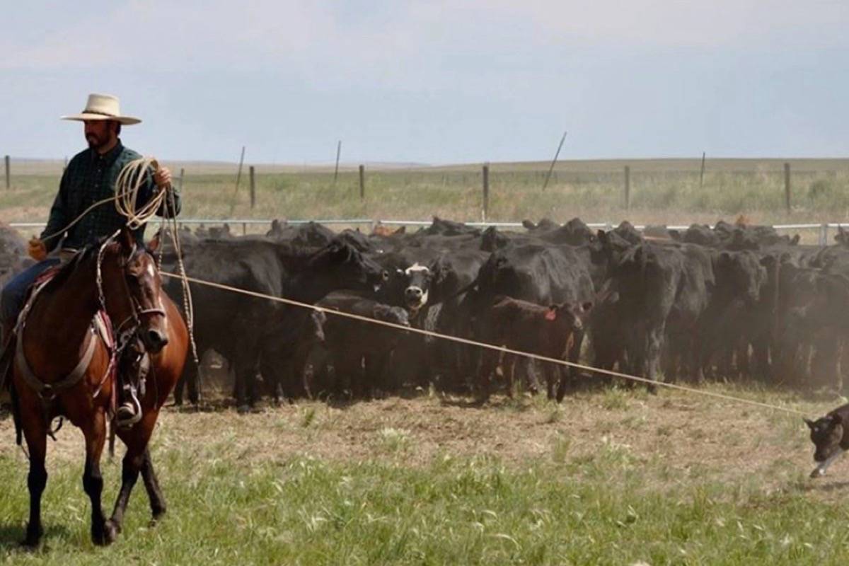 Ben Tyler was working on a Nicola area ranch when he disappeared. File photo
Ben Tyler was working on a Nicola area ranch when he disappeared. File photo
