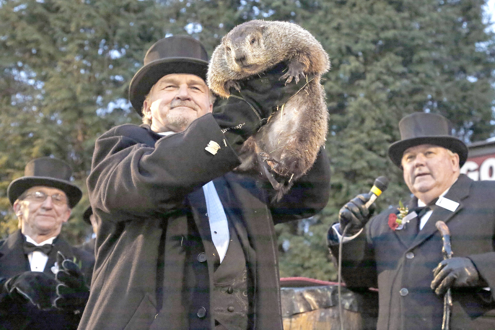 Groundhog Club handler John Griffiths, center, holds Punxsutawney Phil, the weather prognosticating groundhog, during the 131st celebration of Groundhog Day on Gobbler's Knob in Punxsutawney, Pa., Thursday, Feb. 2, 2017. Phil's handlers said that the groundhog has forecast six more weeks of winter weather. (AP Photo/Gene J. Puskar)