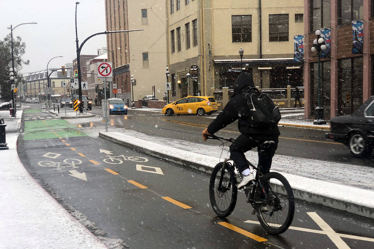 Snow falls in Greater Victoria in February 2020. (Nina Grossman/News Staff)