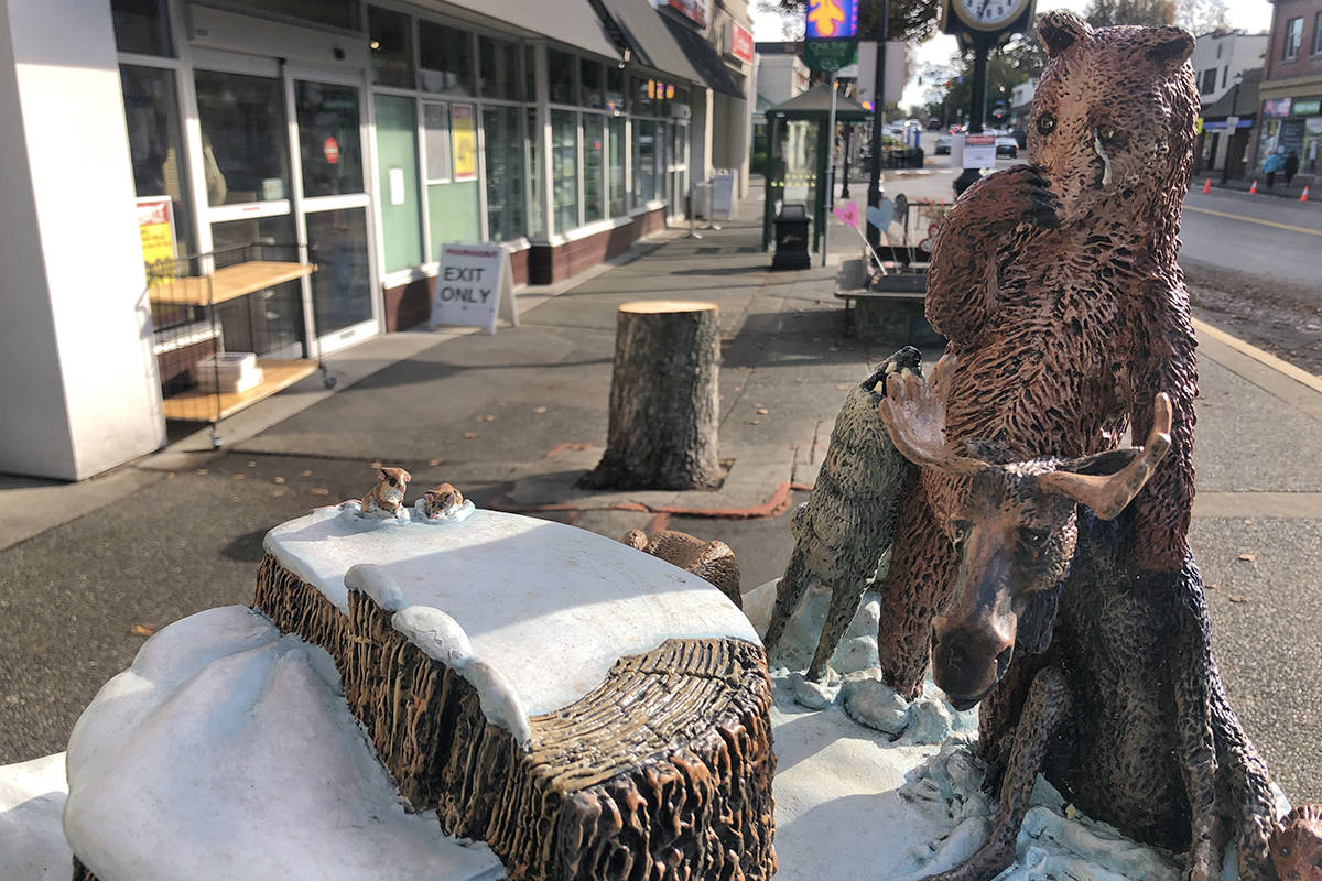 A bear from the ArtsAlive sculpture Freshly cut stumps on Oak Bay Avenue are those of Norway maples that were planted in the 1990s. They outgrew their welcome by breaking up the sidewalks and damaging sub-ground services. (Travis Paterson/News Staff)