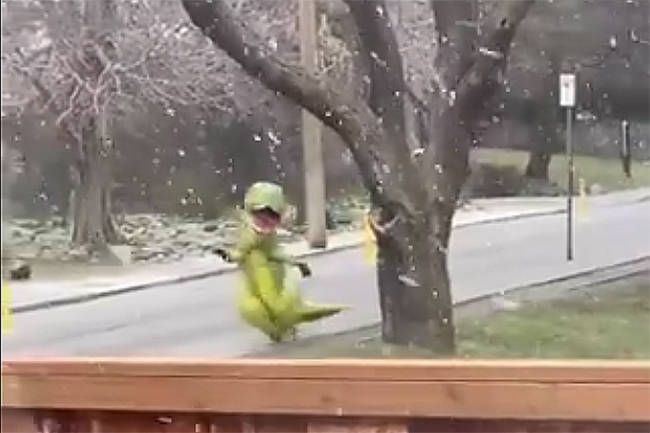 The Victoria Police Department posted a video of a T-Rex sighting while warning motorists to use caution while driving in the falling snow. (VicPD/Twitter)
