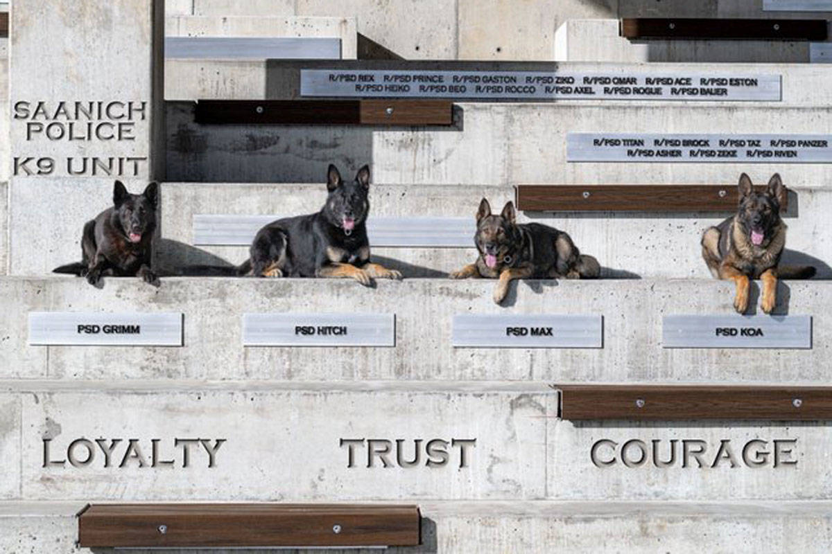 Grimm and Max retired this month and now live as family pets with their handlers. (Saanich Police/Twitter)