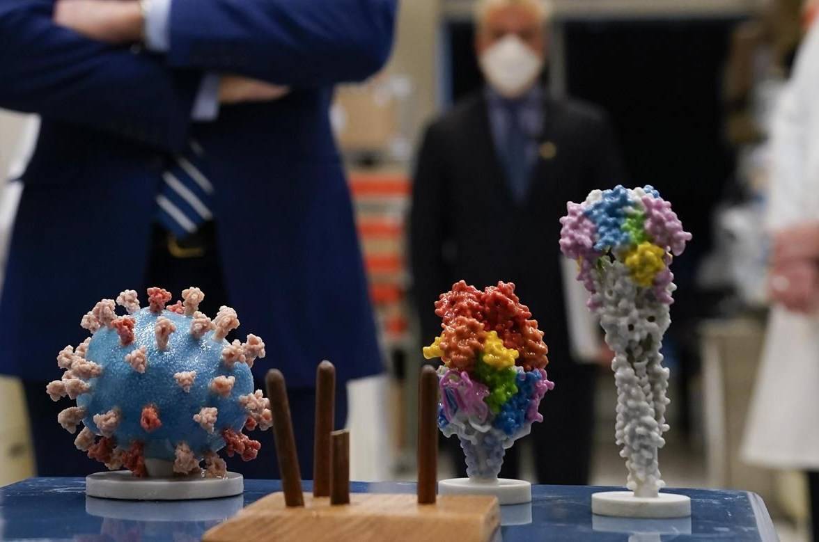 A model of the COVID-19 virus displayed at the National Institutes of Health, Thursday, Feb. 11, 2021, in Bethesda, Md. AP/Evan Vucci