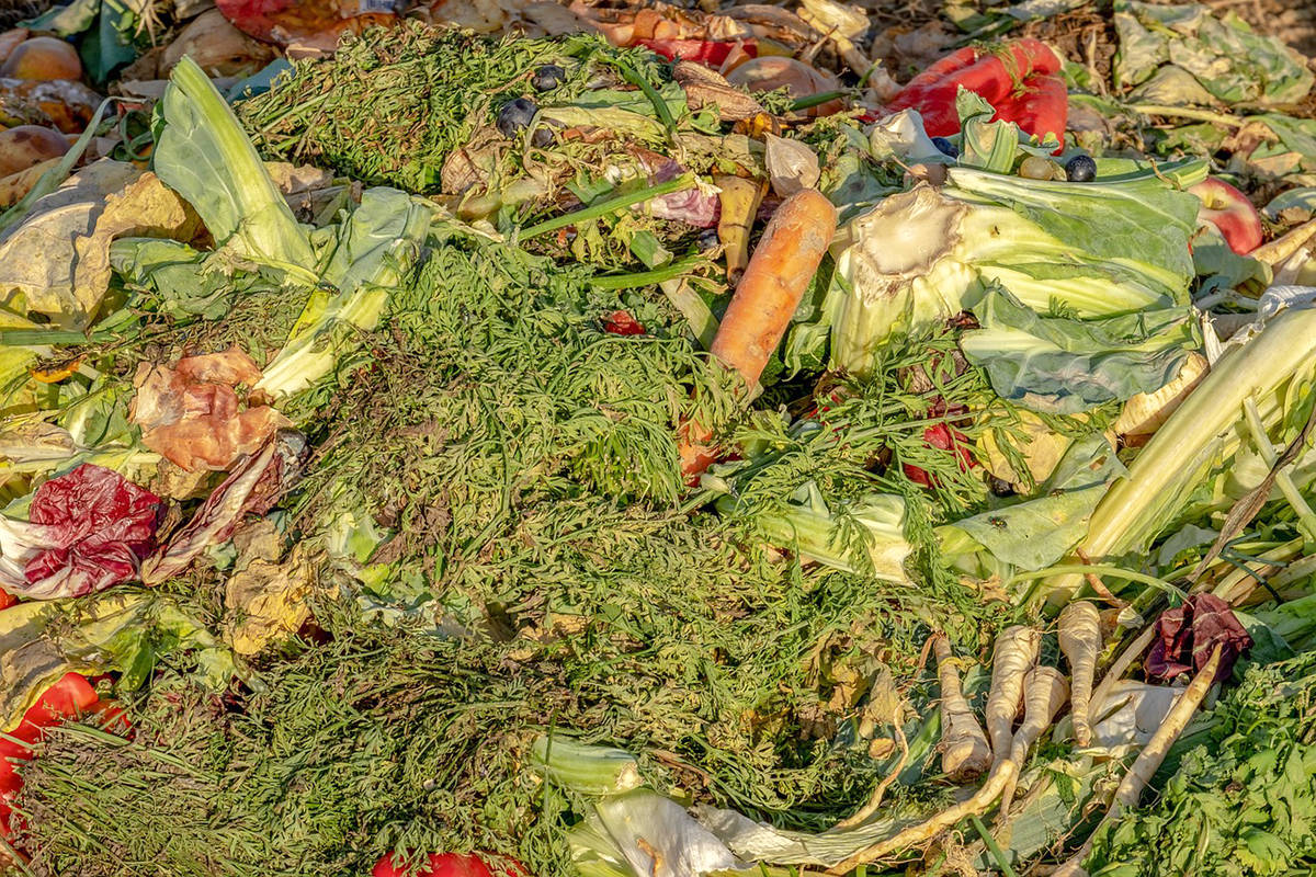 A third of the food raised or prepared globally is wasted, which depletes resources, says columnist. (Stock photo)