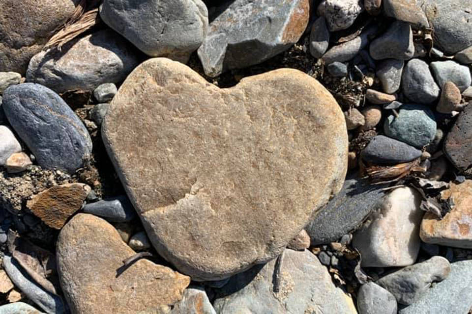 Last March, a group called Hearts of Okanagan started with the idea of putting up hearts in our windows in an effort to show we are in this together even though we were isolated at home at the time. Painted rocks started showing up all over the community with messages of hope. (Facebook)