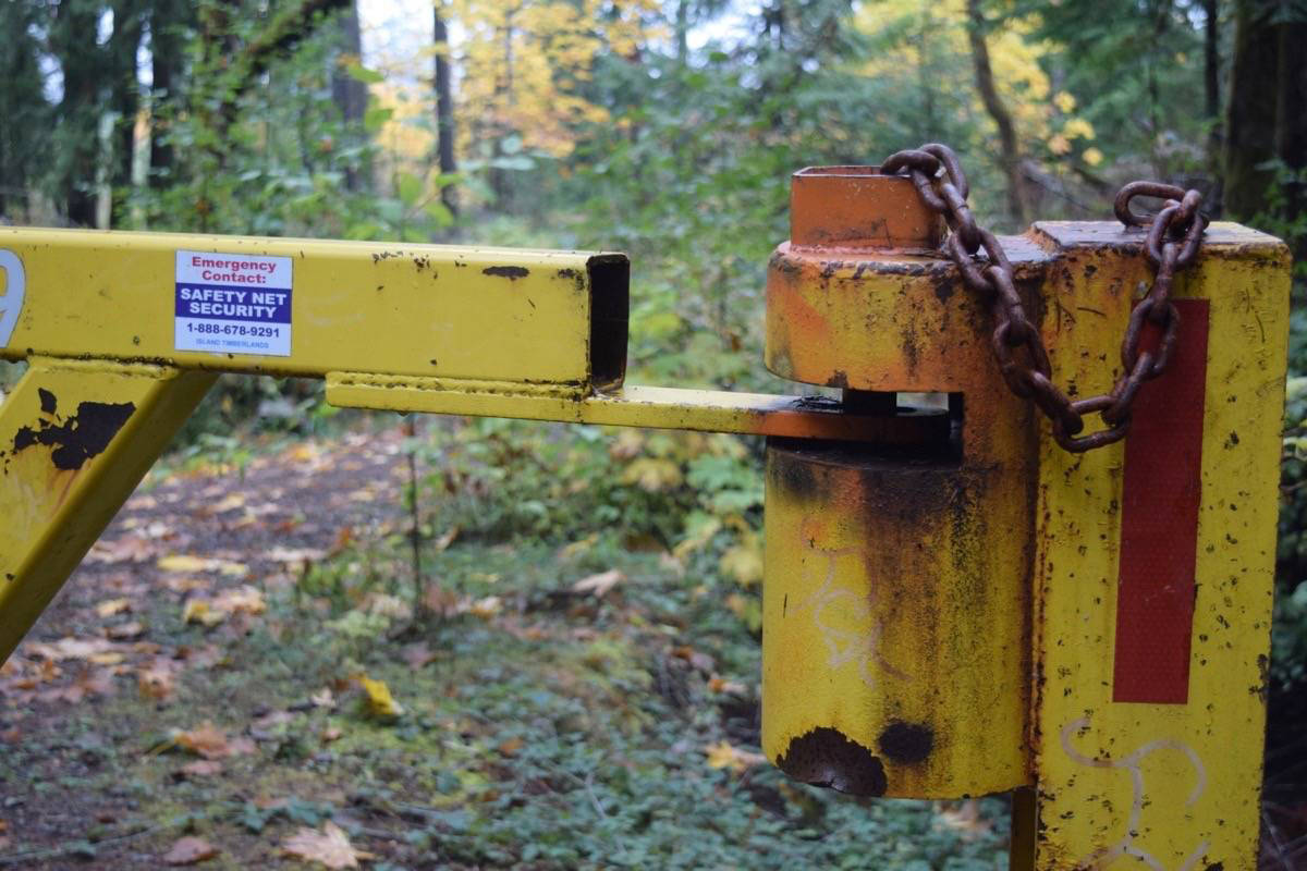 A locked gate prevents access to a logging road on Mosaic Forests land in 2017. (ELENA RARDON/ Alberni Valley News)