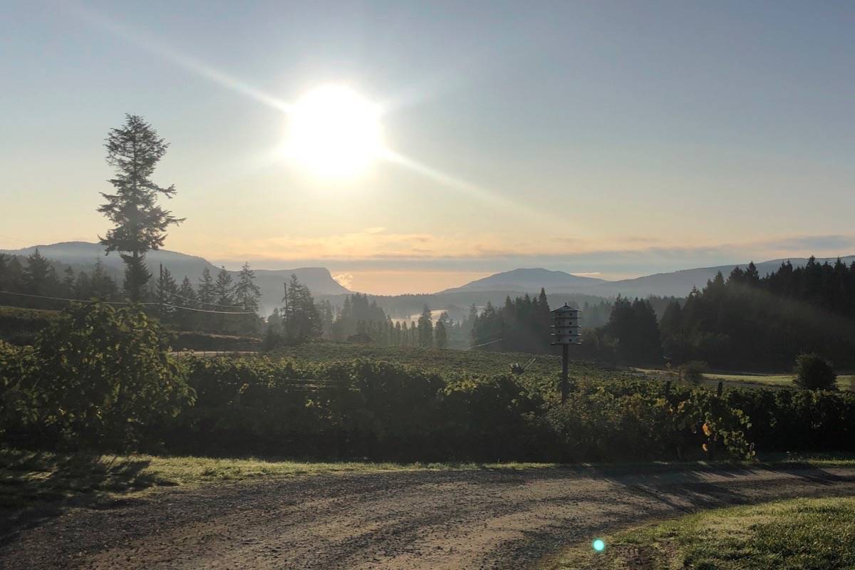 Farms are a vital part of Vancouver Island. (Citizen file)
