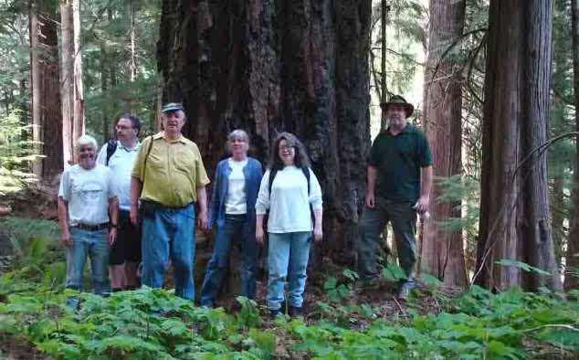 Premier John Horgan (far right) visits the Koksilah River Ancient Forest in 2016. (Submitted photo)