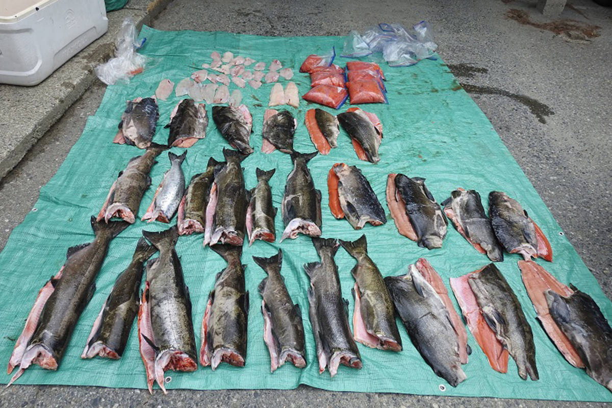 RCMP display some of the fish seized from three suspects who pleaded guilty to violating the Fisheries Act in 2019, in this undated handout photo. THE CANADIAN PRESS/HO - RCMP
