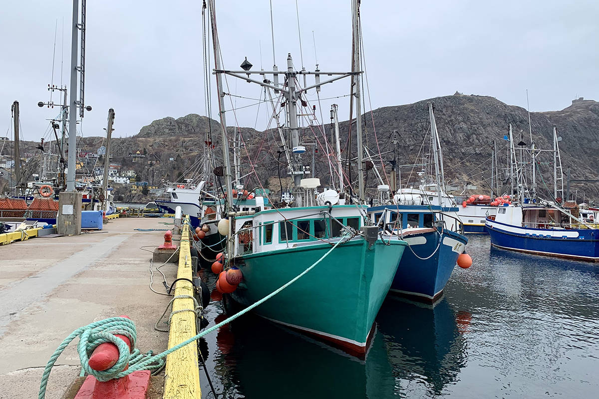 Fishing boats are shown in St.John’s, Friday, Apr.16, 2021. Since the 1992 moratorium on fishing cod in Newfoundland and Labrador, harvesters have focused on crab, shrimp and other shellfish, as evidenced by the many crab boats seen at St. John’s wharves each spring. THE CANADIAN PRESS/Sarah Smellie